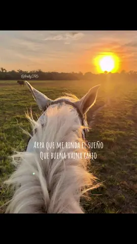Que buena vaina carjo👨🏿‍🌾. #jorgeguerrero #llanerisima #latierradedondevengo #llano #llanocolombiano #viralvideo #llanosorientales #llaneras #llanogrande #parati  