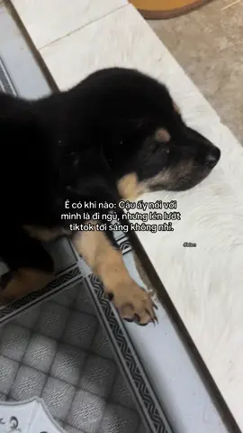 xộn lào  #xuhuong #j4f #fyp #xuhuonggggggggggggggggg #xh #ldon #nhactamtrang #flop #viral #buon_tam_trang💔 #dog #? #🥰 #sad #2024 #xuhuongtiktok 
