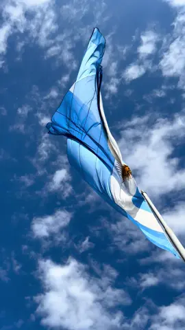 Feliz día a la bandera más hermosa del mundo 🇦🇷🤍 #bandera #argentina #soberana #pais #argentinidad #patria #nacionalismo #nacional #himno 