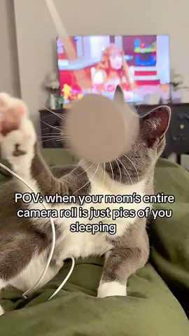 Startin’ to think its a bit creepy… 🤨  #C#CatLoversC#CatNappingC#CuteCatsC#CatsOftiktok S#SleepingCatC#CatCuddlesC#CatMomentsC#CatLifeK#KittyLoveF#FurryFriendC#CatBondingC#CatVideosP#PurrfectMomentC#CatNapTimeA#AdorableCatsC#CatSnugglesP#PetLoversC#CaturdayM#MeowMondayC#CatsAndHumansP#PawsAndClawsC#CatCompanionshipK#KittySnugglesF#FelineFriendsC#CatsRuleC#CozyCatC#CatLoverCommunityP#PetBondingP#PurrsAndWhiskersLoveMyCat
