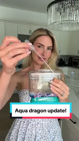 The dragons at the end..🥹🥹🐉!!! 2 month update on hatching & growing the viral aqua deagons! 