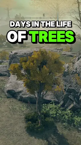 Dumb idiots trees #elden #eldenring #eldenringgameplay #eldenringmeme #fyp #eldenringdlc #shadowoftheerdtree 