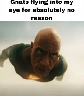 Annoying lil guys #yourking9000 #blackadam #therock #dwaynejohnson #dc #comics #comic #dccomics #gnats #movie #meme #memes 