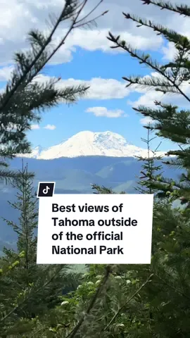 If you miss the opportunity to secure a timed entry reservation at Mt. Rainier National Park, there are still a TON of amazing places you can explore around the park. But for the love of GODDDDD please practice Leave No Trace. Or I will be VERY mad at you. #mtrainier #rainier #mountrainier #mtrainiernationalpark #mrnp #tahoma #pnwlife #pnwexplored #visitrainier #visitwashington #washingtonstate #pnwviews #tolmiepeak #summitlake #tipsoolake #kellybutte #suntoplookout 