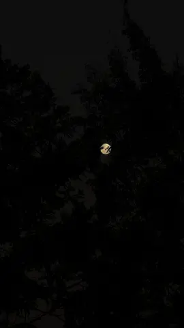 Noite dê inverno 🌚💫#lua #2024 #inverno #lualinda 