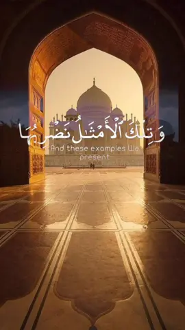 وتلك الأمثال نضربها للناس وما يعقلها الا العالمون  سورة العنكبوت الآيه 43 #الشيخ_ياسر_الدوسري #قرآن #قرآن_كريم 