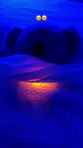 Tu koala dormirá contigo 🥹🥹 #koala #breathingkoala #sleep #fyp #bf #gf 