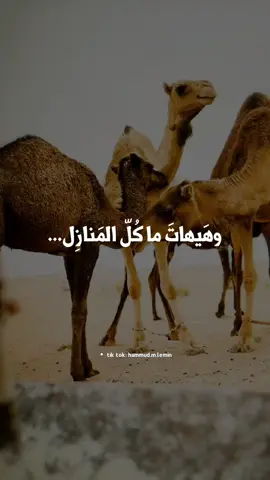 وهَيهاتَ...❤❤ #سدوم_ولد_أيده #سدوم #ديمي  #الهول_الحساني #موريتانيا 