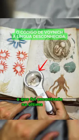 😨 Isso no mínimo é aterrorizante. #curiosidades #misterios #macabro #terror #historia #historias 