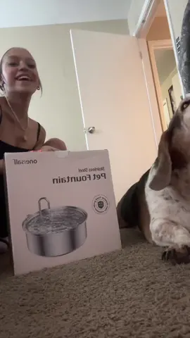 Love knowing the dogs are getting clean water! #fyp #dog #dogwater #fypツ #cancersucks🎗 #cancersucks🎗 #TikTokShop #hodgkinslymphoma 