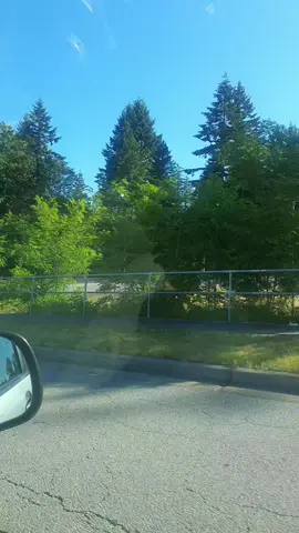 #vedio #viral ##yourpage #viral #yourpage 