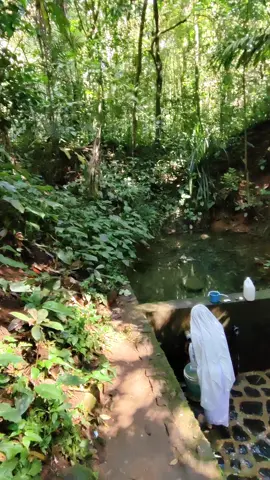 CAI KAHURIPAN SANGHYANG CAKRA DEWA 🥰 @Ayu Kencana Sari 