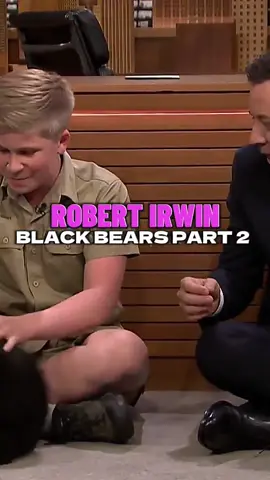 Black Bears Part 2🧸💕 #robertirwin #bear #funny #interview #tonightshow #fypシ゚viral 