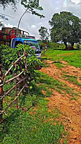 အပြာကား🤗