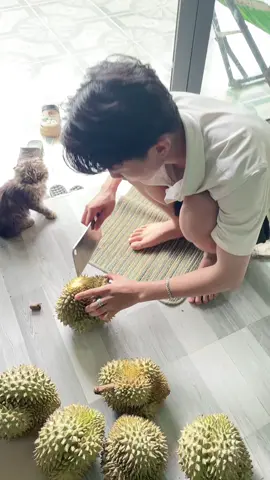Sầu riêng 95k 