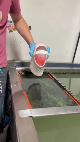 Hydro Dipping Crocs #satisfying #hydrodipping 