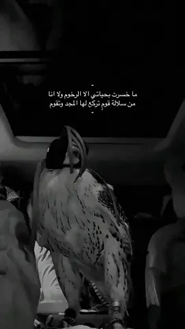 من سلالة قومٍ تركع لها المجد وتقوم