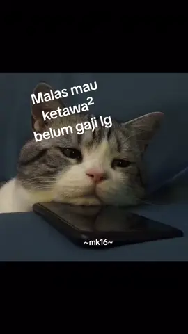 senyumlah shikit #belumgajiketu #sabarye  #janganseriussangat 