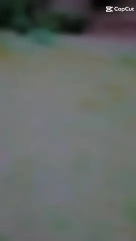 #talha talha706#bskkdhdoskejwi1k1amkaikkiaiajdjdidj @its Sh@n@w@r @💸🦅 Zidi khan 804🦅💸 @nadeemsaqisaqi0512 @ALIZA Rajput 🔥🔥✌️🤟🤘👈 @user7496220589118 @𝗝𝗔𝗚𝗔100🇵🇰 @Abdullah khan @achadinho MercadoLivre @Ahmad Nawaz bub @ali190 @Bilal lack @billa badmash number 1 @farwa  rajput @Gondal 5555 @FahadBinSultan07 @janii 512 @muhammadwaris51850 @M  Bilal @ｓｐｒｅａｄ ｌｏｖｅ @pardesi__boy1 @Adnan Shahzad648 @dima 💥 king @BAGOO❤️❤️❤️❤️ 