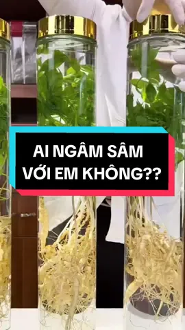 Ngâm sâm tươi phải ngâm bình Hàn mới đẹp nha anh em #binhngamruou #binhngamruouhinhtru #binhngamruouthuytinh #bìnhthủytinhngâmrượu #binhngamruouhanquoc #binhthuytinhngamruou #bìnhthủytinh #binhngamruouquocthai #xuhuong #samyenquocthai 