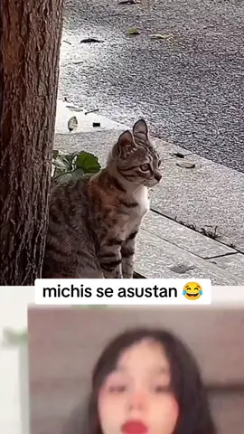 😻😻😻 #CapCut #viral #parati 