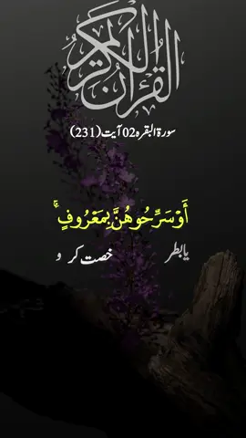 Surah Al Baqarah (231) Part-77 Urdu Trjuma (Translation) #islam #qurantranslation #foryou 