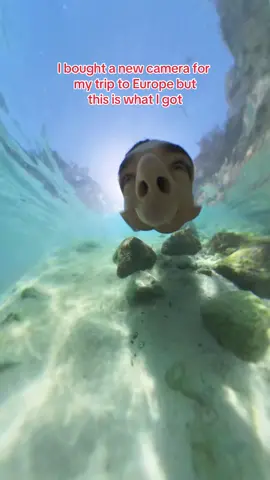 I need a refund asap #holiday #memes #traveltips #eurosummer 