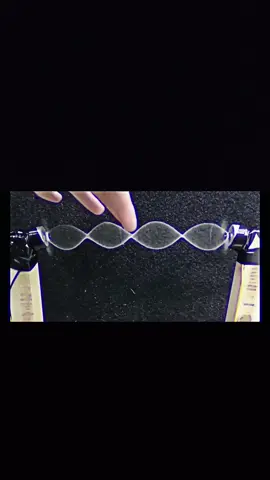 Standing waves in physical 🧠#physics #amazing #slideshow #foryoupage 
