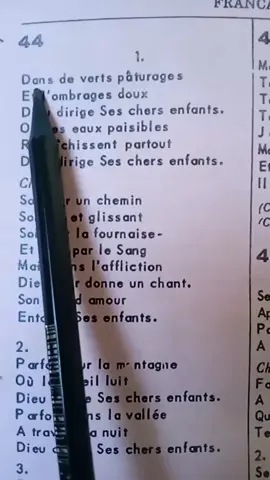 Dans de verts pâturages🙌 #adorationchretienne #christiantiktok #chant  #chantdesperancefrancais  #views #viralvideo #foryou #pyfツ #pourtoi 
