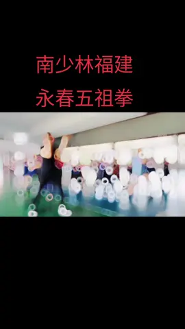 #CapCut #武术 #永春五祖拳 #中国传统武术 #武术家 #