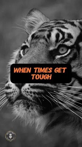 Each scar tells a story of survival, when times get tough. #whentimesgettough #keepfighting #keeppushing  #keepgoingmotivation #mental_health_matters #upliftingmessages #keep_going #motivational_videos #inspirationalvideo #motivationmindset #growth_mindset 