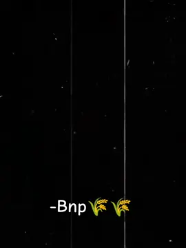 l#bnp#bdtiktokofficial🇧🇩 #tiktokbd #foryoupage 