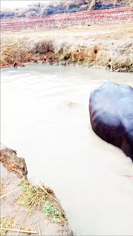 #Love #Love #like #like #like #Love #like #like #Love #Love #like #foryou #like #Love #like 