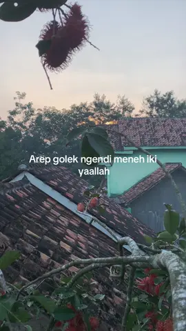 🥹 #fyp #quotes #yourquotes 