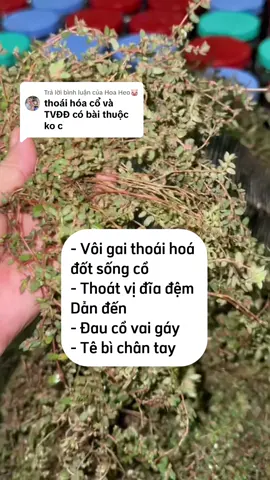 Trả lời @Hoa Heo🐷 bài t h u ô’ c từ cây cỏ sữa lá nhỏ thân tím ngâm với vỏ cây đỗ trọng #cosualanhothantim #thoaihoadotsongco #thoatvidiadem #voigaidotsong #daucovaigay #tebichantay 