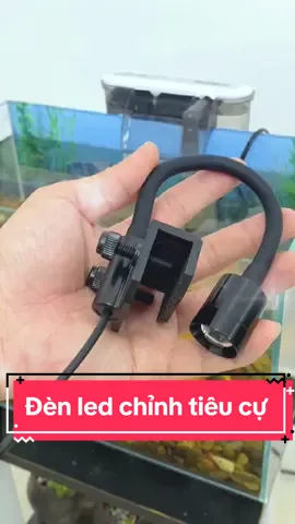 Một chiếc đèn rọi mini chỉnh tiêu cự ngon bổ rẻ cho các bác về hàng rồi đây ạ #bethuysinh #becacanh #phukienbecacanh #denroihoca #denled #thuysinhmini #trangtribeca 