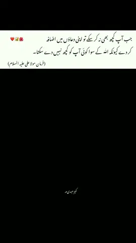 Moula Aliع farmaty hen 🥺❤️‍🩹 #follow my account🍂  #yaalimadad  #sherekhuda  #moulaaliع  #foryou  #qoutes  #qoutesislami  #yaaali  #imamhussain  #shiatali313💚⚔️  #imammehdiforce⚔️  #100k #viral #trend #burhantv #1millionaudition #follow #viral #100k #1m #burhantv #trending #1millionaudition #fyyyyyyyyyyyyyyyy #fyyyyyppppppppppppppp @𝙎𝙃𝘼𝙃𝙕𝙀𝘽ރ 