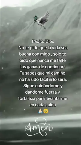 🥺🙏🏻🕊️🛐🫂#fe #entimiseñor #jesus #🙏🏻 #fyp #viraltiktok #viralvideo 
