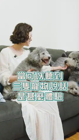 當可以聽到三隻寵物說話是什麼體驗？你也想聽聽毛孩的心事嗎？ #寵物溝通 #萌寵 #毛孩 #狗 #療癒寵物