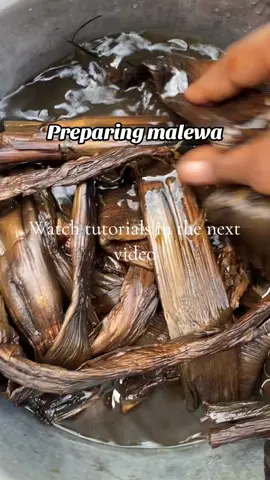 @Khisa Peace ☮️ malewa#food #tiktok #trending #fyp #gishu #villagelife #cooking #malewa#foryou 