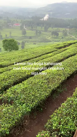 Kahayang mah benghar#storysunda🍁 #katakatasunda #sundapride #strorywhatsapp #pppp 