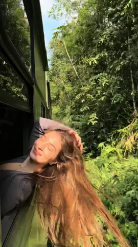 as vezes vc só precisa ir em um trem #fyp
