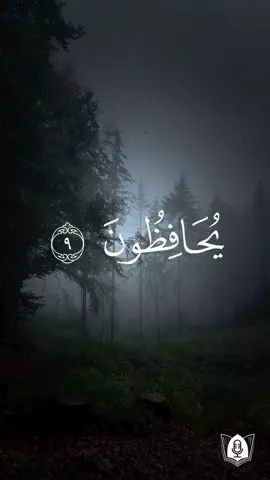 ﴿وَالَّذينَ هُم عَلى صَلَواتِهِم يُحافِظونَ ۝ أُولئِكَ هُمُ الوارِثونَ ۝ الَّذينَ يَرِثونَ الفِردَوسَ هُم فيها خالِدونَ﴾ [#سورة_المؤمنون: 9-11] 🎙| #تلاوة بصوت: #ياسر_الدوسري #قرآن #قرآن_كريم #آيات #استغفرالله #oops_alhamdulelah 📖| المختصر في التفسير: والذين هم على صلواتهم يحافظون بالمداومة عليها، وعلى أدائها في أوقاتها بأركانها وواجباتها ومستحبّاتها. أولئك المتصفون بهذه الصفات هم الوارثون. الذين يرثون أعلى الجنة هم فيها ماكثون أبدًا، لا ينقطع نعيمهم فيها. 