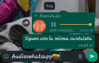 #audioswhatsappecuador #foryou #siguenconlamismacantaletaustedesloco#yacompirtense #50años