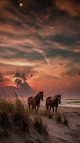 مالي أحنُّ لمن لم ألقهم أبدا#أناشيد_متنوعة #أناشيد_اسلامية #أناشيد_بدون_موسيقى #أناشيد_بدون_إيقاع #أنشودة #أناشيد #نشيد #لا_اله_الا_الله #محمد_رسول_الله #اللهم_صلّ_وسلّم_على_نبينا_محمد❤️ #اكسبلور #هاشتاك #هاشتاق 