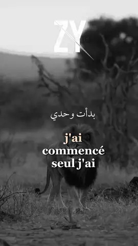 J'ai commencé seul et je réussirai seul #tiktok #fyp #foryou #motivation #citation #france #amor #Love 