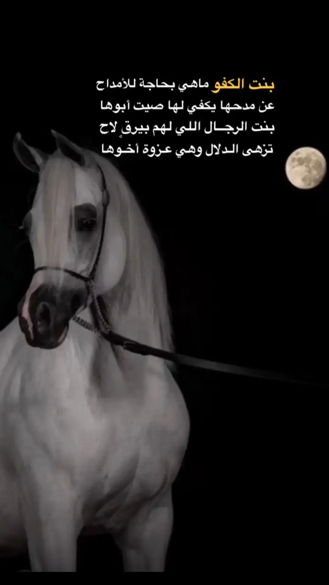 بنت الرجال اللي عليها الملازيم تفخر بمنهجها وبّسلوم اهلها ✨ #اكسبلورexplore #ترند_جديد #ترندكم #قصيده #شعر #بنت_الرجال_اللي_عليها_الملازيم #سعيد_بن_مقبل #شعروقصايد #ترندات #foryou #طلعوه #نطلع_ترند #vira #fyp #explore #اكسبلور 