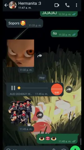 pero hermanita JAJJA #pinchetiktokponmeenparati #cumpleañosfelizparati🎉🎊 #whatsapp #paratiiii 