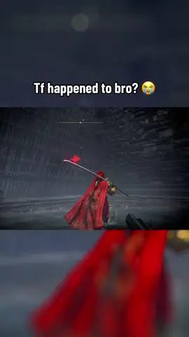 These new bosses are wild #GamingOnTikTok #WhatToPlay #eldenringshadowoftheerdtree #eldenring 