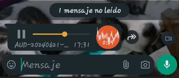 #audioswhatsappecuador #foryou #queapellidoesestegordito #queestayapagaron #preguntemedondeesta